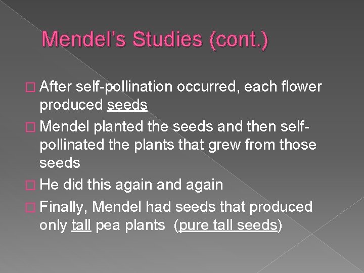 Mendel’s Studies (cont. ) � After self-pollination occurred, each flower produced seeds � Mendel