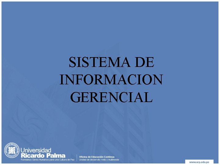 SISTEMA DE INFORMACION GERENCIAL 