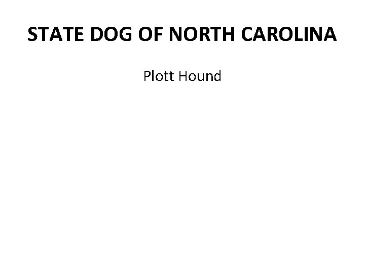 STATE DOG OF NORTH CAROLINA Plott Hound 