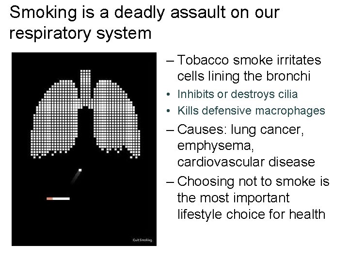 Smoking is a deadly assault on our respiratory system – Tobacco smoke irritates cells