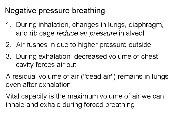 Negative pressure breathing 1. During inhalation, changes in lungs, diaphragm, and rib cage reduce