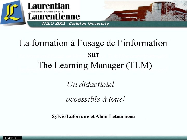 La formation à l’usage de l’information sur The Learning Manager (TLM) Un didacticiel accessible