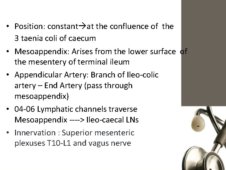  • Position: constant at the confluence of the 3 taenia coli of caecum