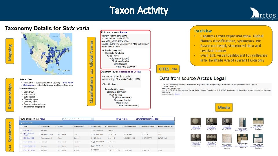 Specimens Global Names Total View • Captures taxon representation, Global Names classifications, synonyms, etc.