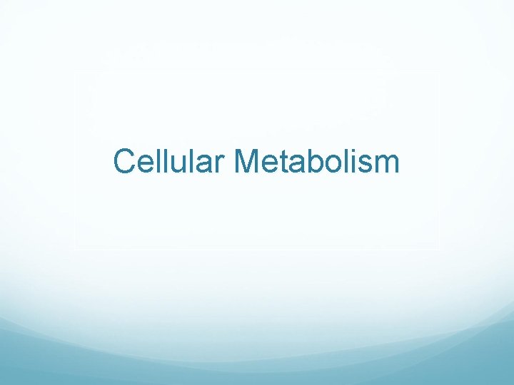 Cellular Metabolism 