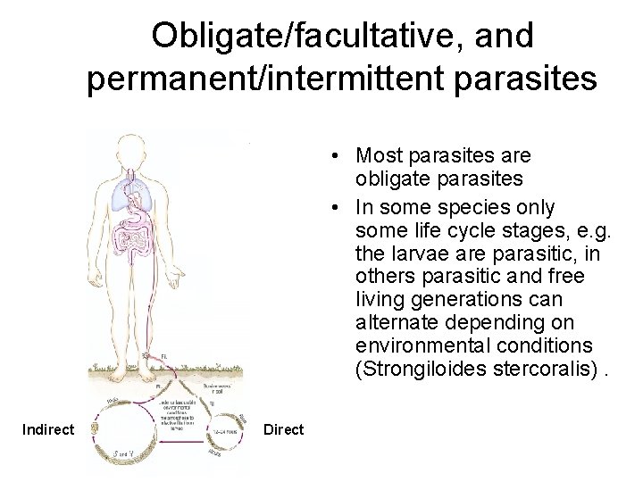Obligate/facultative, and permanent/intermittent parasites • Most parasites are obligate parasites • In some species
