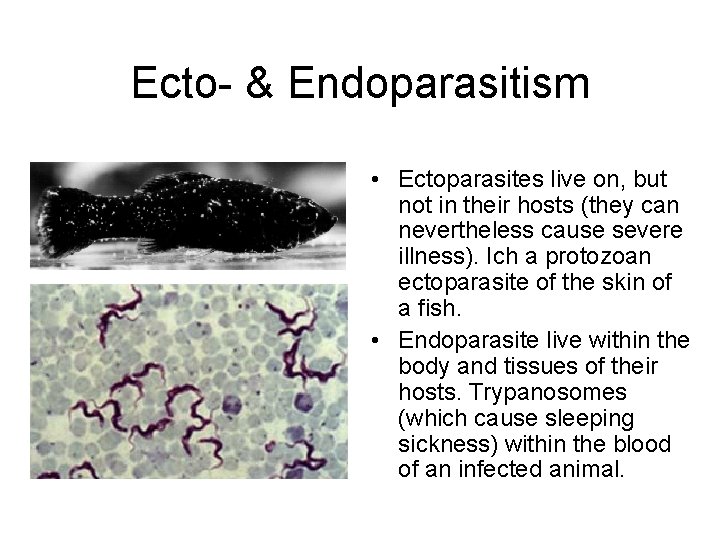 Ecto- & Endoparasitism • Ectoparasites live on, but not in their hosts (they can