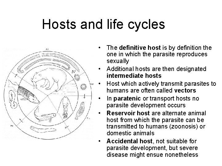 Hosts and life cycles • The definitive host is by definition the one in