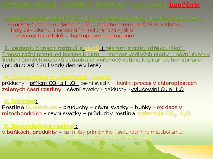 METABOLISMUS VYŠŠÍCH ROSTLIN orgánový a buněčný: 1, příjem miner. látek (CO 2, H 2