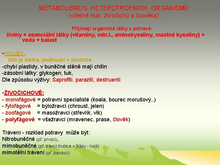 METABOLISMUS HETEROTROFNÍCH ORGANISMŮ (včetně hub, živočichů a člověka) Přijímají organické látky v potravě: živiny