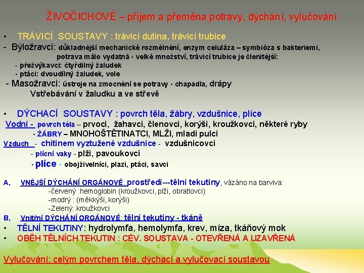 ŽIVOČICHOVÉ – příjem a přeměna potravy, dýchání, vylučování • TRÁVICÍ SOUSTAVY : trávicí dutina,