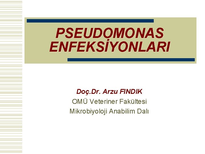 PSEUDOMONAS ENFEKSİYONLARI Doç. Dr. Arzu FINDIK OMÜ Veteriner Fakültesi Mikrobiyoloji Anabilim Dalı 