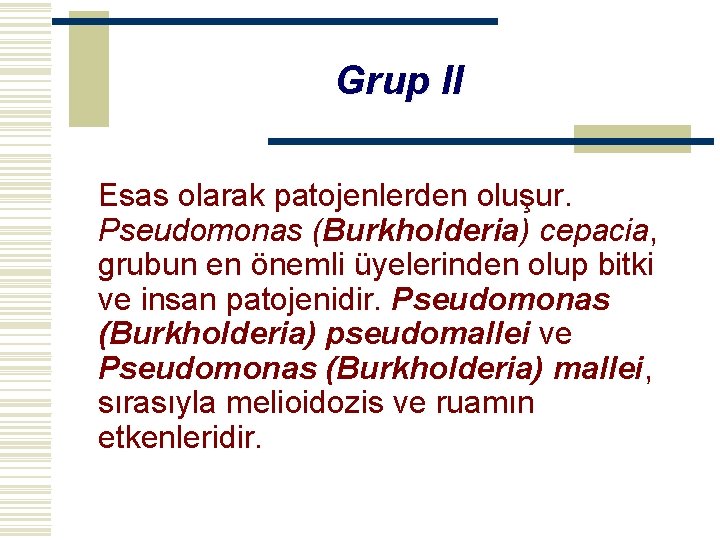 Grup II Esas olarak patojenlerden oluşur. Pseudomonas (Burkholderia) cepacia, grubun en önemli üyelerinden olup