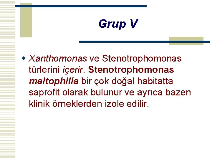 Grup V w Xanthomonas ve Stenotrophomonas türlerini içerir. Stenotrophomonas maltophilia bir çok doğal habitatta