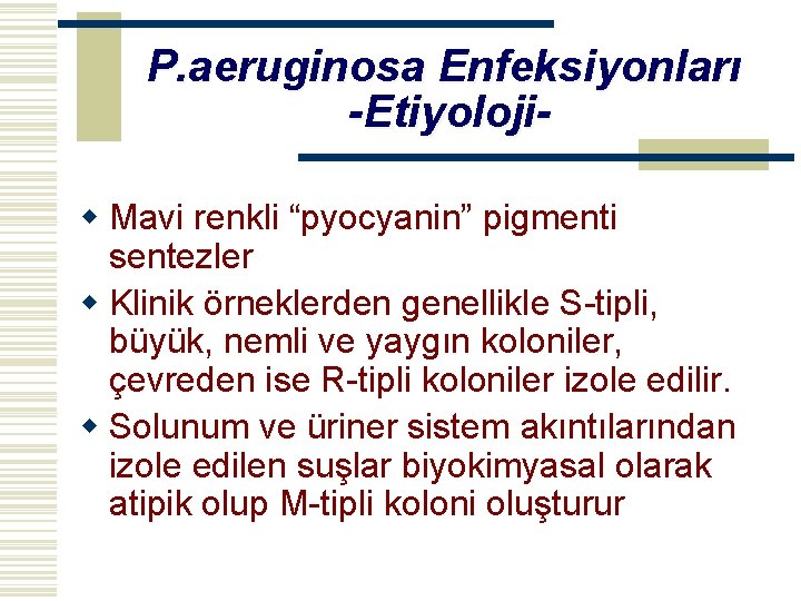 P. aeruginosa Enfeksiyonları -Etiyolojiw Mavi renkli “pyocyanin” pigmenti sentezler w Klinik örneklerden genellikle S-tipli,