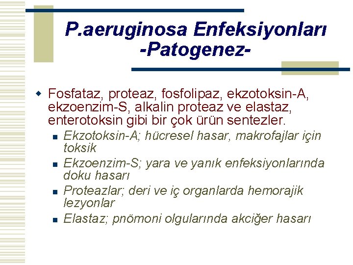 P. aeruginosa Enfeksiyonları -Patogenezw Fosfataz, proteaz, fosfolipaz, ekzotoksin-A, ekzoenzim-S, alkalin proteaz ve elastaz, enterotoksin