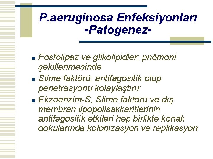 P. aeruginosa Enfeksiyonları -Patogenezn n n Fosfolipaz ve glikolipidler; pnömoni şekillenmesinde Slime faktörü; antifagositik