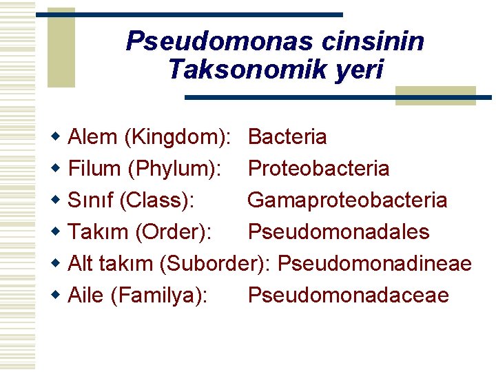 Pseudomonas cinsinin Taksonomik yeri w Alem (Kingdom): Bacteria w Filum (Phylum): Proteobacteria w Sınıf