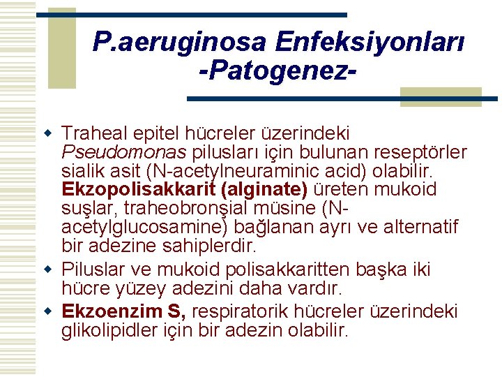 P. aeruginosa Enfeksiyonları -Patogenezw Traheal epitel hücreler üzerindeki Pseudomonas pilusları için bulunan reseptörler sialik