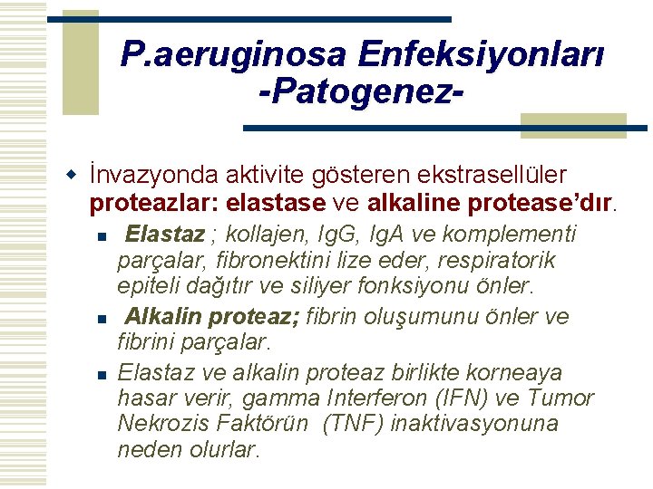 P. aeruginosa Enfeksiyonları -Patogenezw İnvazyonda aktivite gösteren ekstrasellüler proteazlar: elastase ve alkaline protease’dır. n