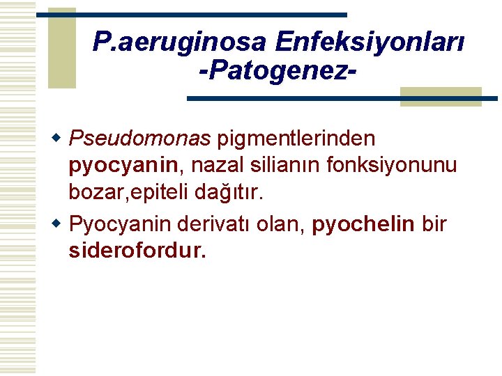 P. aeruginosa Enfeksiyonları -Patogenezw Pseudomonas pigmentlerinden pyocyanin, nazal silianın fonksiyonunu bozar, epiteli dağıtır. w