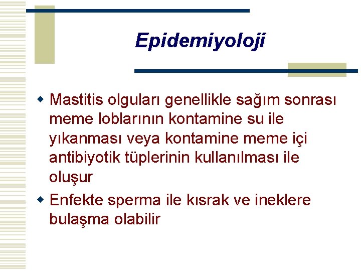 Epidemiyoloji w Mastitis olguları genellikle sağım sonrası meme loblarının kontamine su ile yıkanması veya