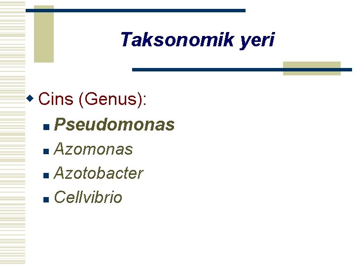 Taksonomik yeri w Cins (Genus): n Pseudomonas Azomonas n Azotobacter n Cellvibrio n 