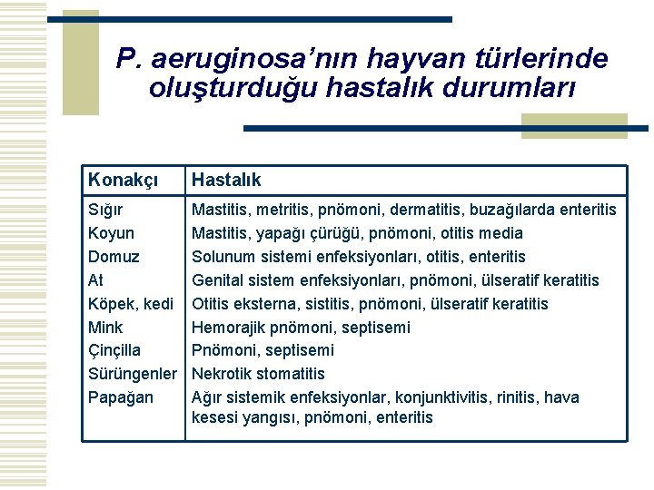 P. aeruginosa’nın hayvan türlerinde oluşturduğu hastalık durumları Konakçı Hastalık Sığır Koyun Domuz At Köpek,