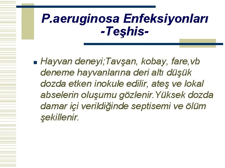 P. aeruginosa Enfeksiyonları -Teşhisn Hayvan deneyi; Tavşan, kobay, fare, vb deneme hayvanlarına deri altı