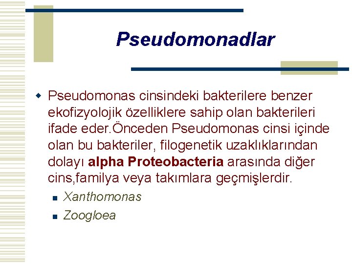 Pseudomonadlar w Pseudomonas cinsindeki bakterilere benzer ekofizyolojik özelliklere sahip olan bakterileri ifade eder. Önceden