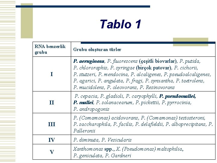 Tablo 1 RNA benzerlik grubu Grubu oluşturan türler I P. aeruginosa, P. fluorescens (çeşitli