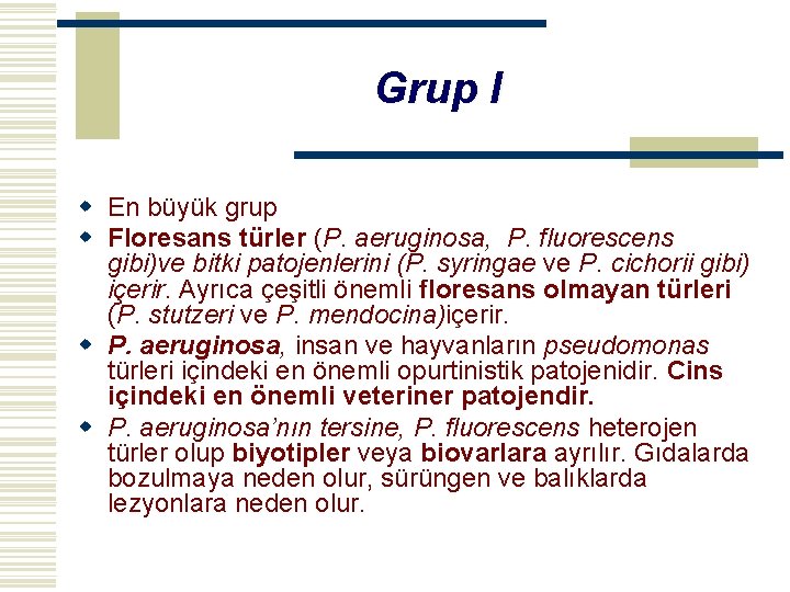 Grup I w En büyük grup w Floresans türler (P. aeruginosa, P. fluorescens gibi)ve