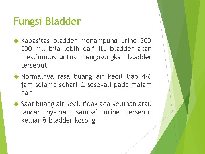 Fungsi Bladder Kapasitas bladder menampung urine 300500 ml, bila lebih dari itu bladder akan