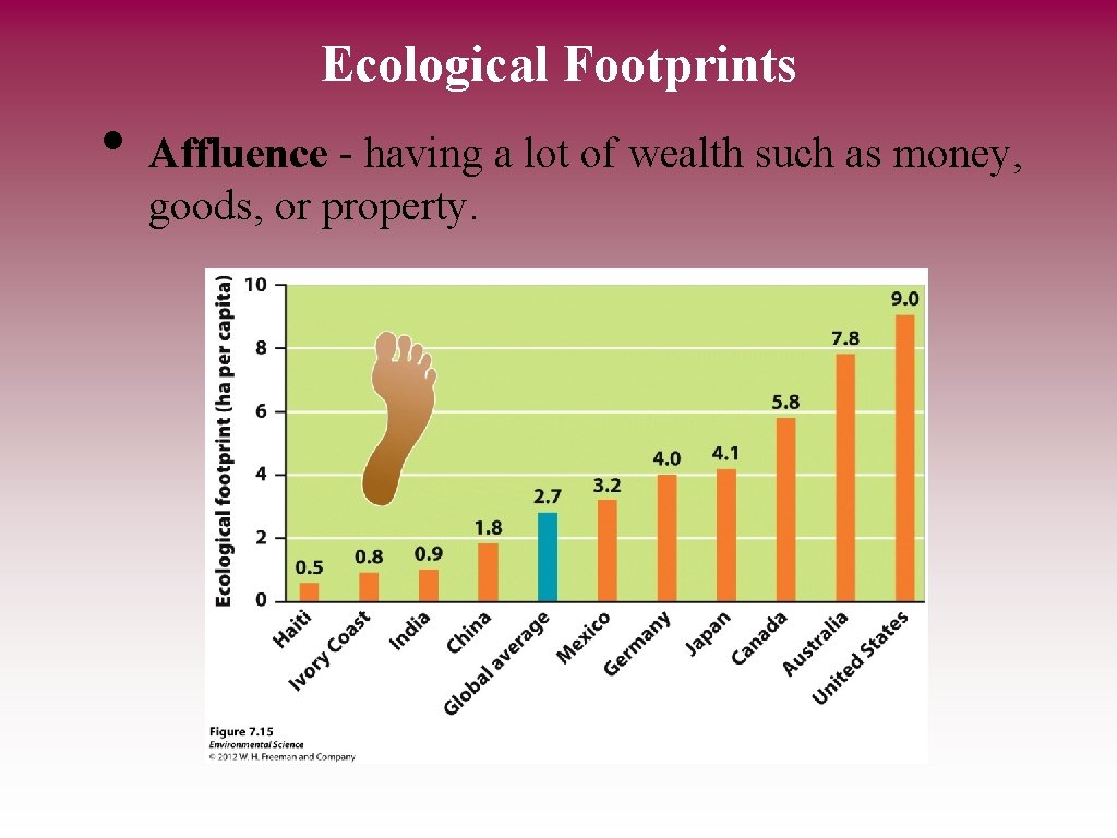 Ecological Footprints • Affluence - having a lot of wealth such as money, goods,
