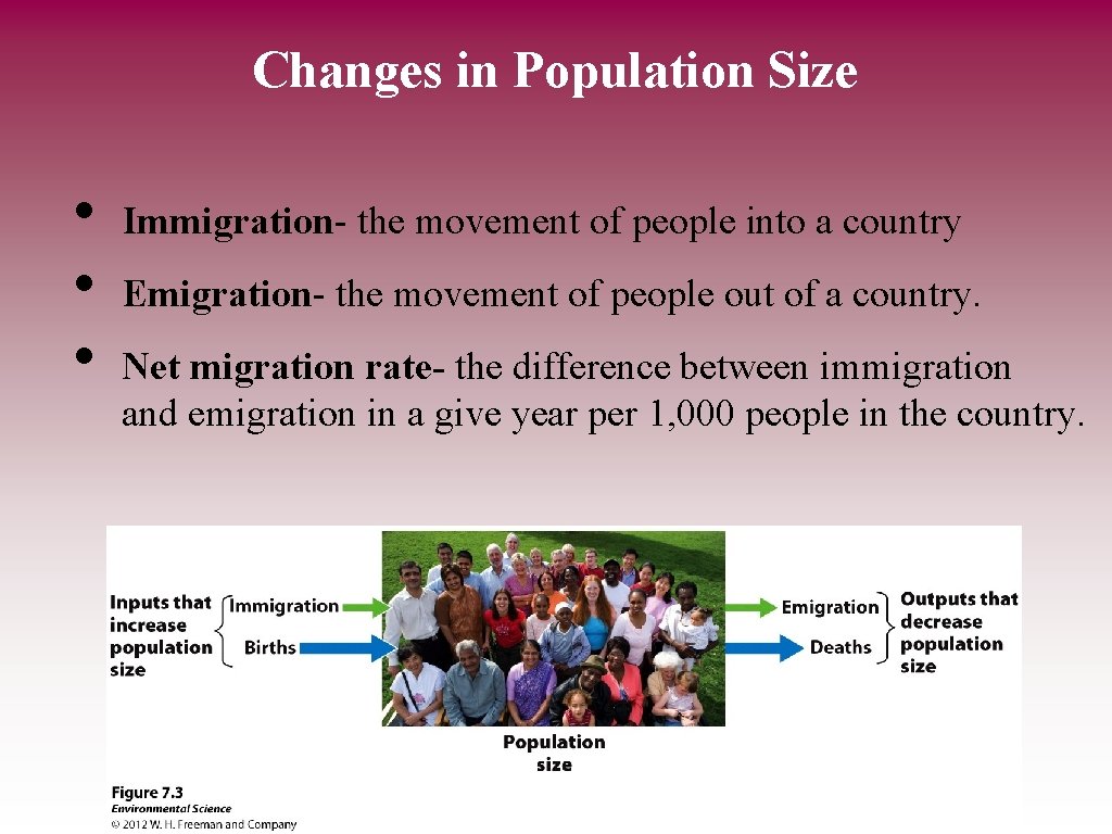 Changes in Population Size • • • Immigration- the movement of people into a