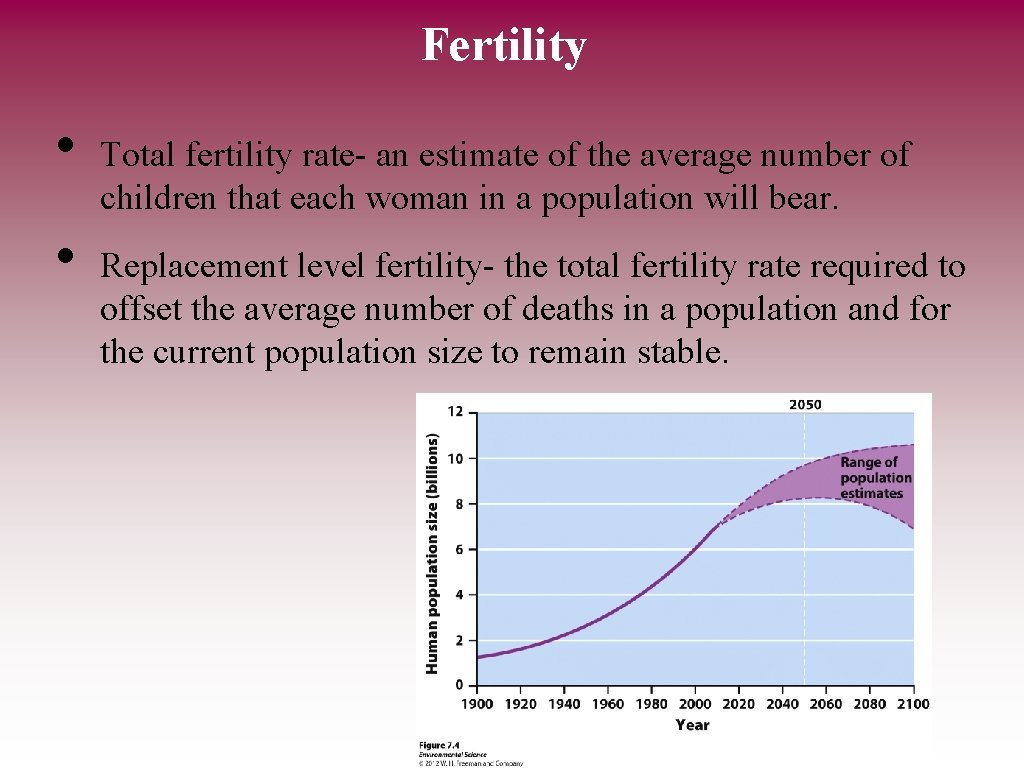 Fertility • • Total fertility rate- an estimate of the average number of children