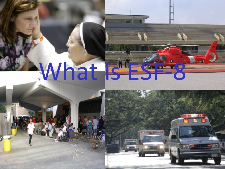 What is ESF-8 