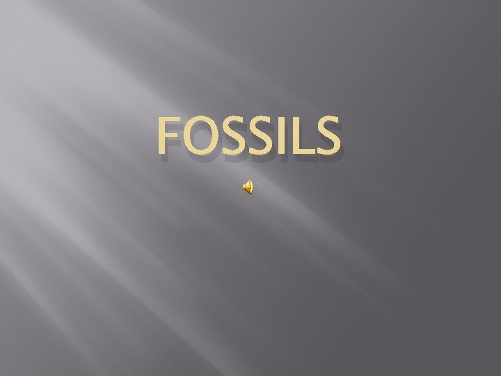 FOSSILS 