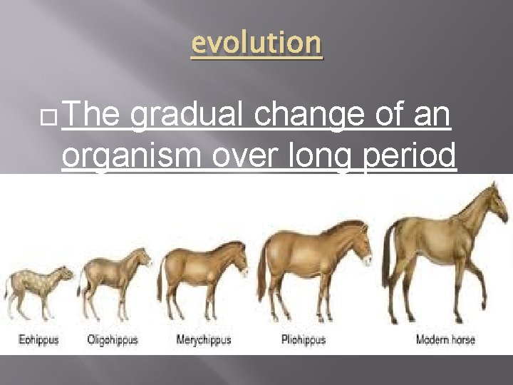 evolution The gradual change of an organism over long period of time. 