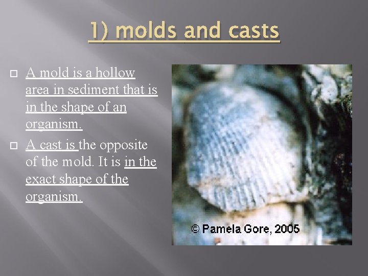 1) molds and casts A mold is a hollow area in sediment that is