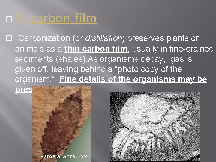  3) carbon film Carbonization (or distillation) preserves plants or animals as a thin