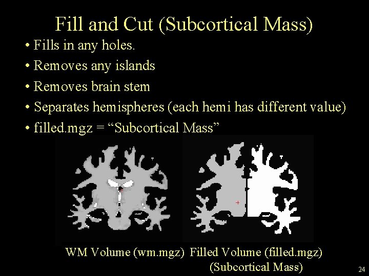 Fill and Cut (Subcortical Mass) • Fills in any holes. • Removes any islands