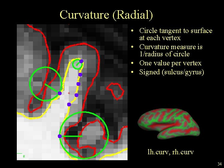 Curvature (Radial) • Circle tangent to surface at each vertex • Curvature measure is