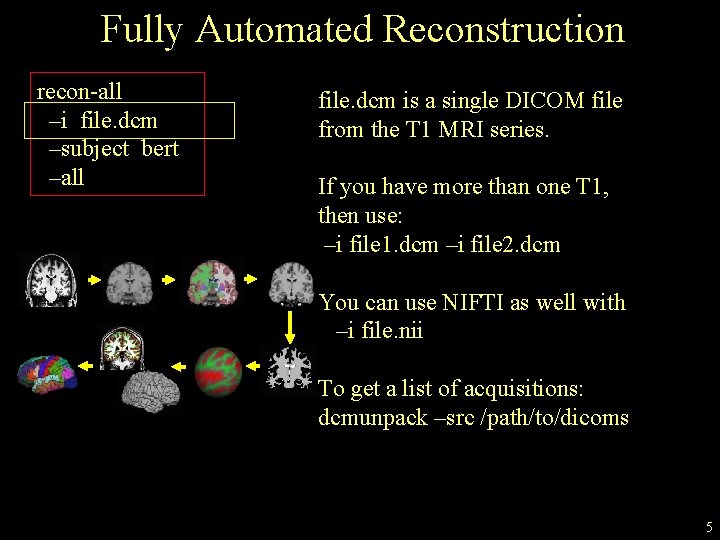Fully Automated Reconstruction recon-all –i file. dcm –subject bert –all file. dcm is a