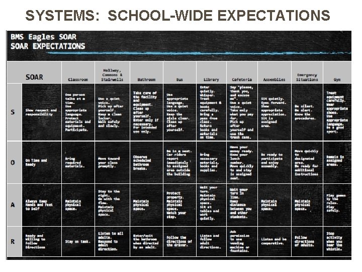 SYSTEMS: SCHOOL-WIDE EXPECTATIONS 