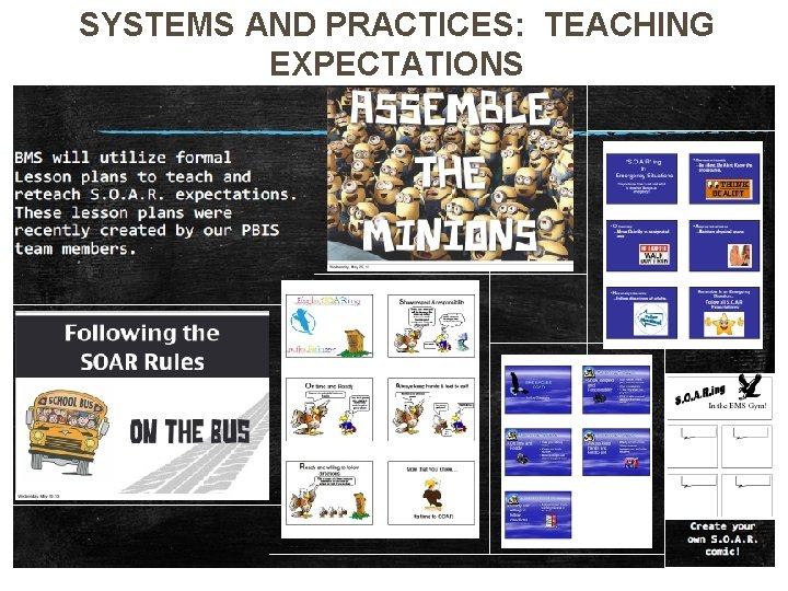 SYSTEMS AND PRACTICES: TEACHING EXPECTATIONS 81 
