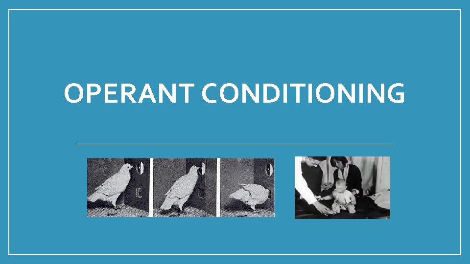 OPERANT CONDITIONING 