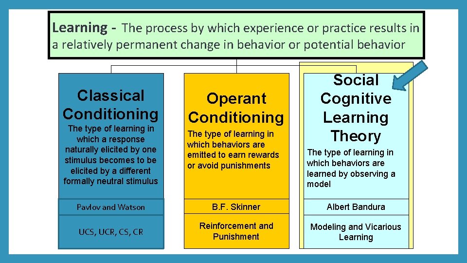 Learning - The process by which experience or practice results in a relatively permanent