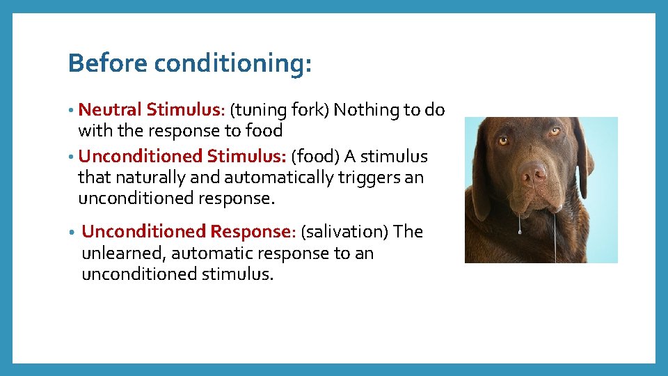 Before conditioning: • Neutral Stimulus: (tuning fork) Nothing to do with the response to