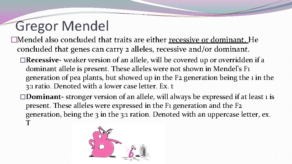 Gregor Mendel �Mendel also concluded that traits are either recessive or dominant. He concluded